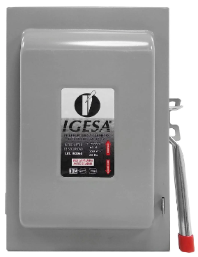 IGESA INTERRUPTOR DE SEGURIDAD 2X60 (E)
